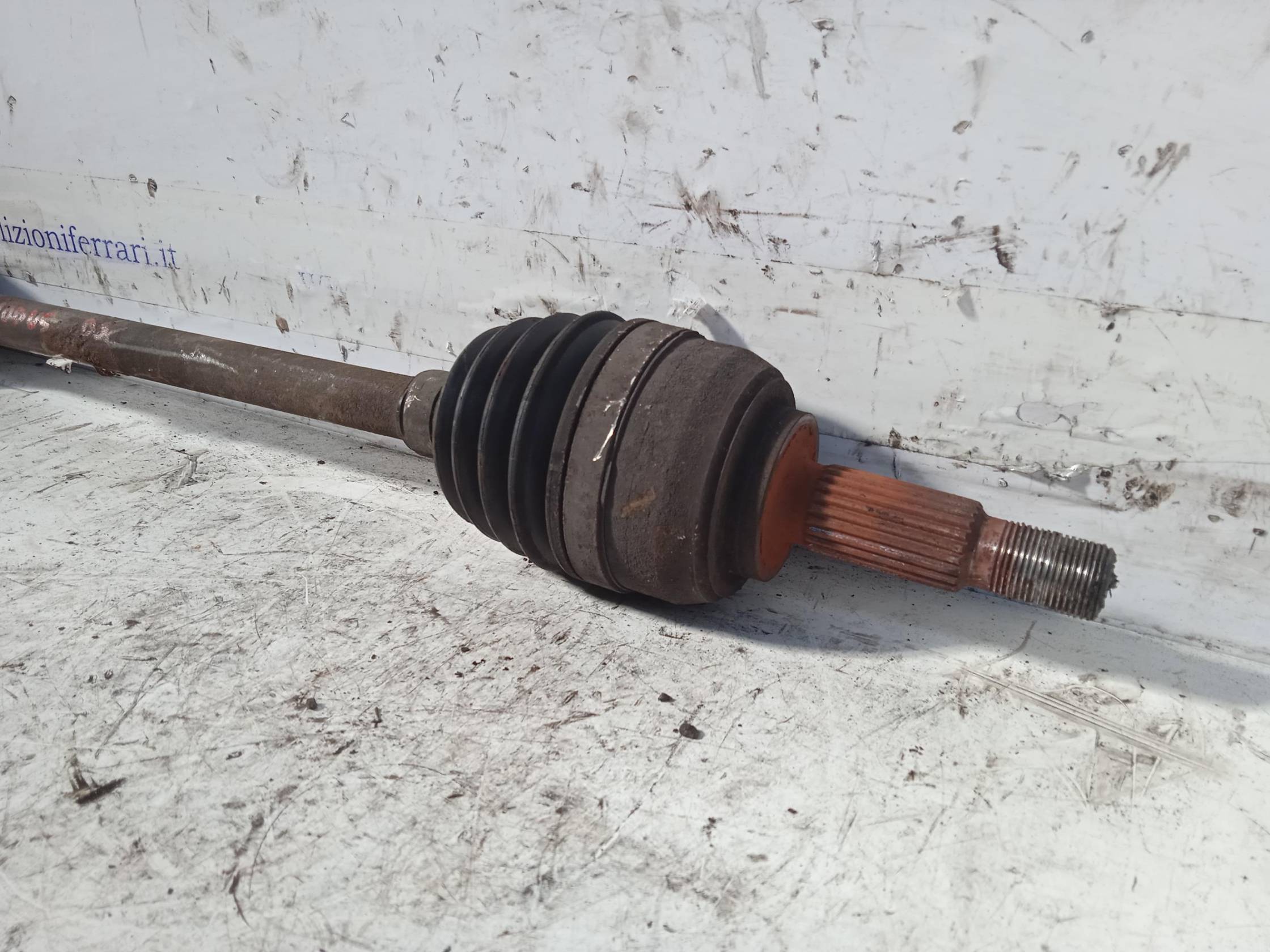 Semialbero ant. compl. dx.